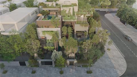 Oasis Mansion — thiết kế 1